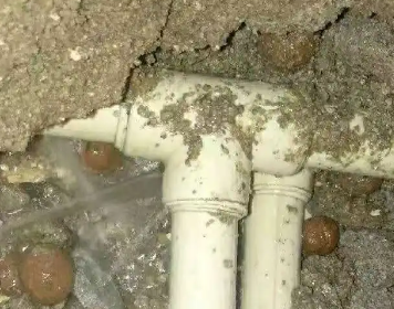 姑苏测漏水多少钱