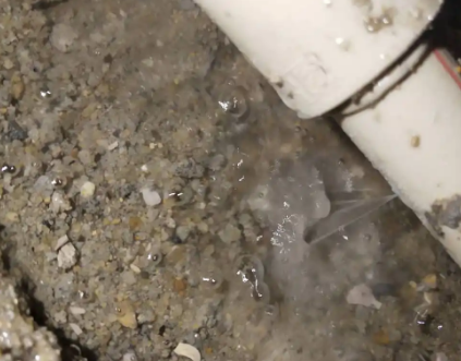 姑苏测漏水电话号码