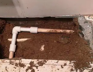 姑苏测漏水哪家好