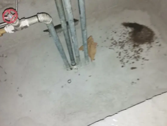 姑苏卫生间测漏水价格明细